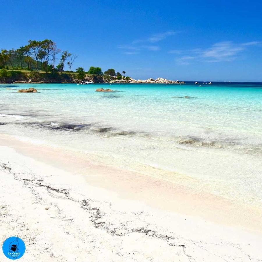 Joli Studio Maisonnette A 100M De La Plage Porticcio  Εξωτερικό φωτογραφία